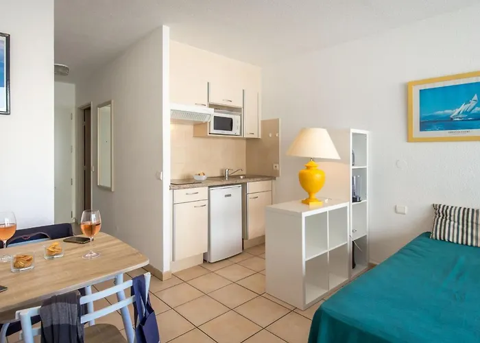 Proche Et Commerces Avec Clim, Wi-fi Et Balcon - Fr-1-466a-30